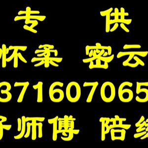 密云专业汽车陪练公司